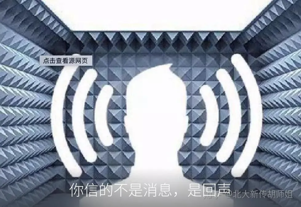 你信的不是消息，是回声