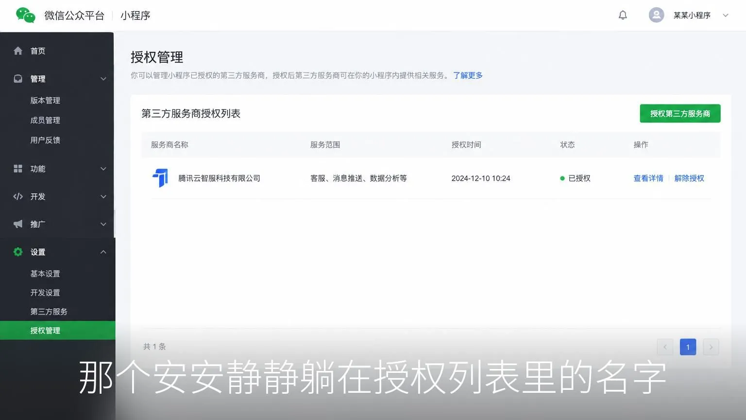 那个安安静静躺在授权列表里的名字