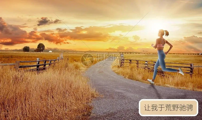 让我于荒野驰骋