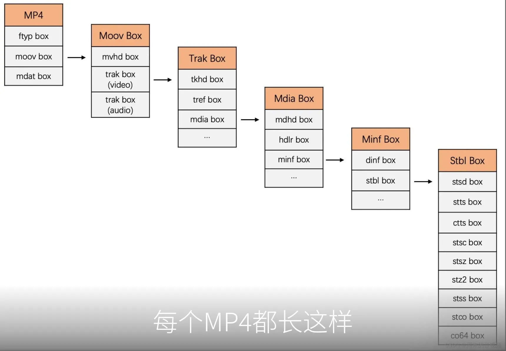 每个MP4都长这样