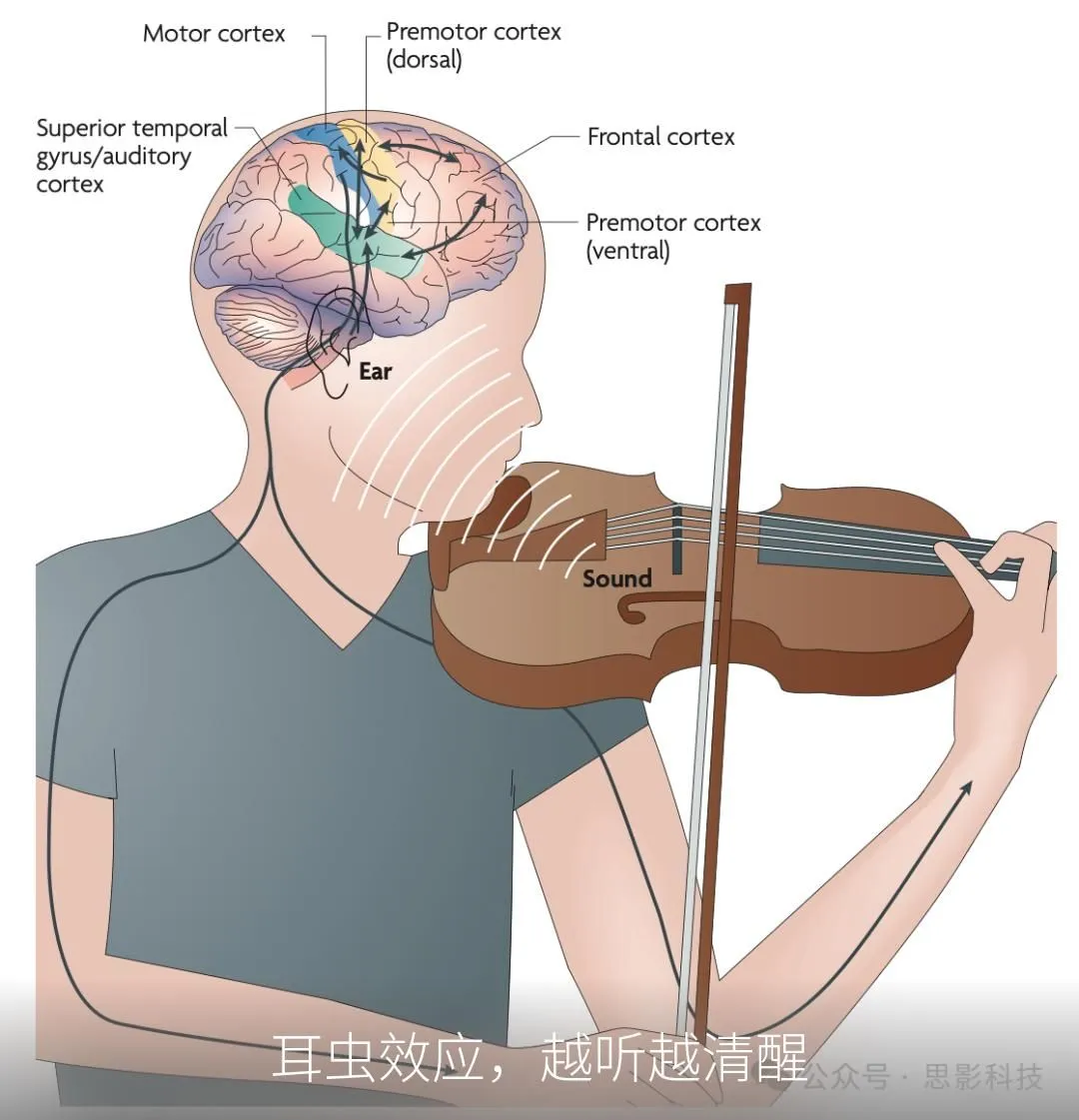 耳虫效应，越听越清醒