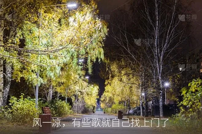 深入解析歌手kainy演唱的《秋去秋来》及其与叶蒨文原唱的关系-智慧商城